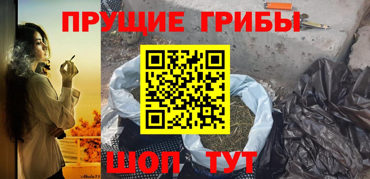 Казань  Галлюциногенные грибы GOLDEN TEACHER  Вход с VPN  Псилоцибиновые грибы Cubensis 
