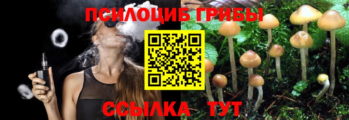 Псилоцибиновые грибы ЛСД Казань